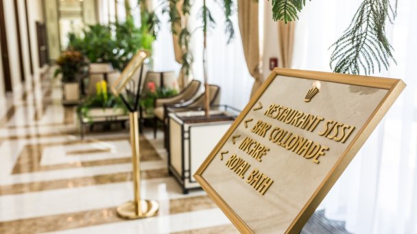 Léčebný hotel Royal Palace ***** 31