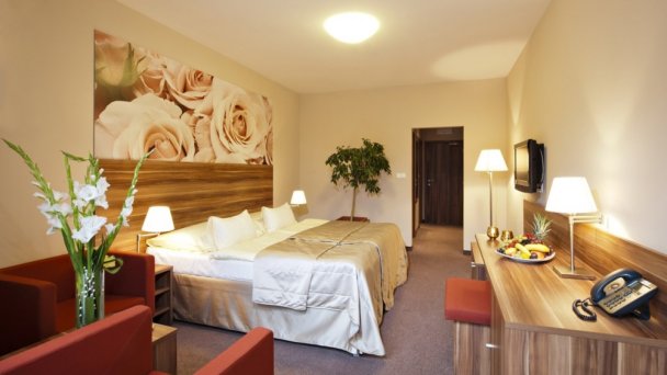 Lázeňský hotel Velká Fatra **** Turčianske Teplice 13