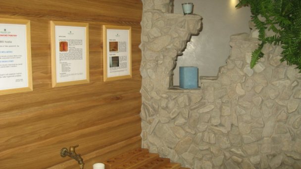 Oravský háj Garden Hotel & Resort *** Trstená 64