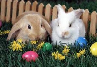 Velikonoce v Thermalparku ve vlnách relaxu