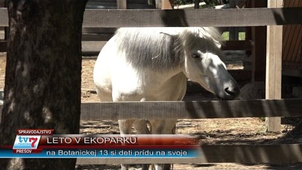 Leto v Ekoparku Autor: televiziaTV7 Zdroj: https://www.youtube.com/@televiziaTV7 Leto v Ekoparku Autor: televiziaTV7 Zdroj: https://www.youtube.com/@televiziaTV7