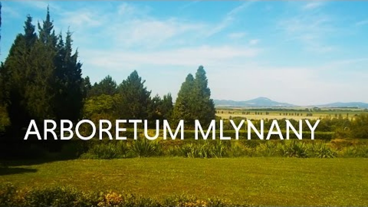 BOTANICAL GARDEN IN MIDDLE OF NOWHERE - MLYNANY, SLOVAKIA (EUROPE) Autor: inspiratioon_com Zdroj: https://www.youtube.com/@inspiratioon_com BOTANICAL GARDEN IN MIDDLE OF NOWHERE - MLYNANY, SLOVAKIA (EUROPE) Autor: inspiratioon_com Zdroj: https://www.youtube.com/@inspiratioon_com