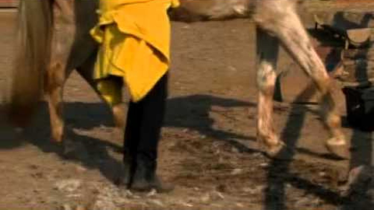 margitin dvor Autor: katka sk Zdroj: https://www.youtube.com/@filmovo