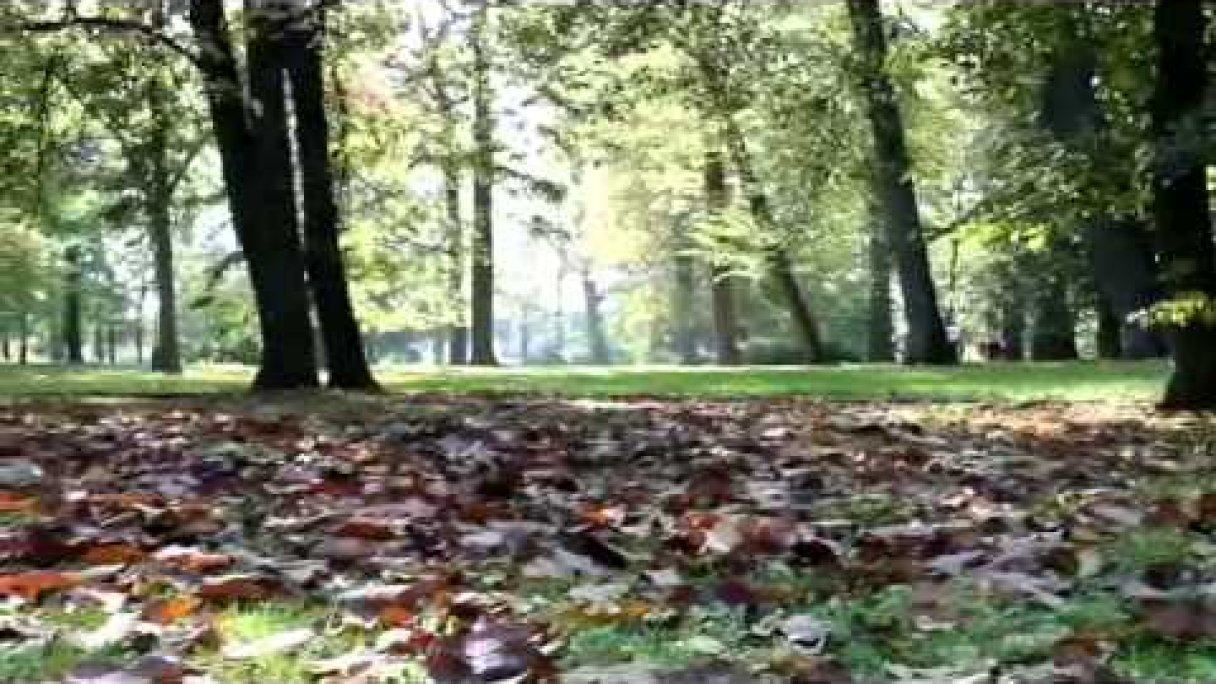 Park Jána Baltazára Magina - Dubnický kaštieľ - október 2014 Autor: Dubnický kaštieľ Zdroj: https://www.youtube.com/@dubnickykastiel9388