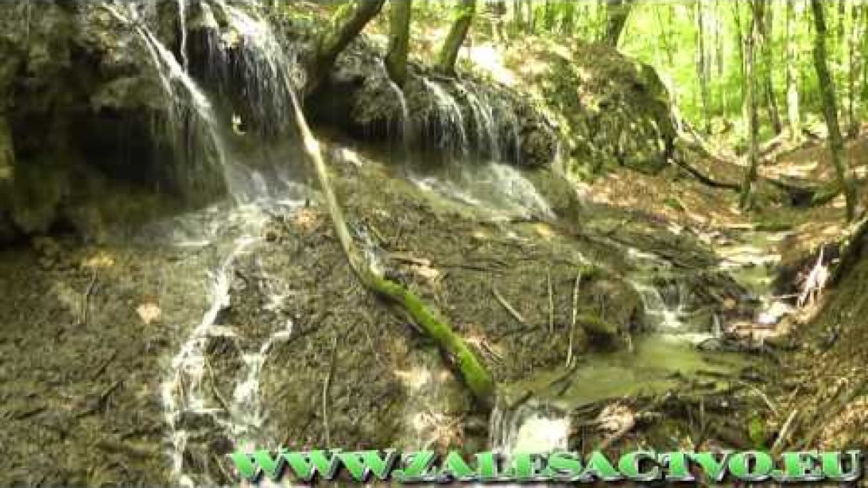 Dračia Studňa - Biele Karpaty (Waterfall) Autor: Lukas Blaho - ZALESACTVO Zdroj: https://www.youtube.com/@Luki_Zalesactvo