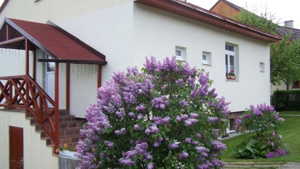 Domček JaŠ *** Starý Smokovec 16