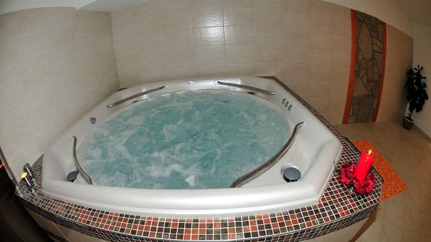 Wellness Wellness