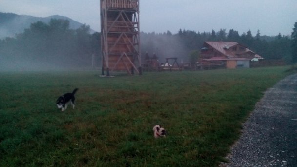 Chata pri Lipe Košiarny Briežok 6