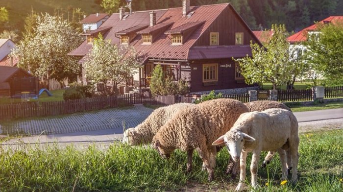 Chata Zinka Mýto pod Ďumbierom