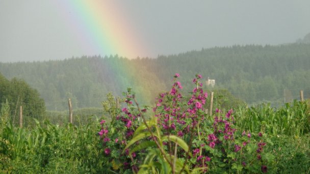 Kozí dvor Rohozná Brezno 17 Kozí dvor Rohozná Brezno 17