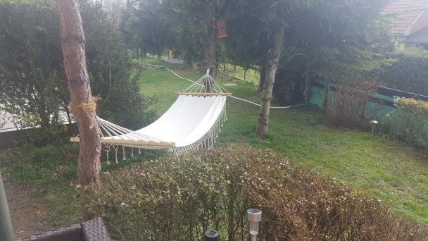 Záhrada
