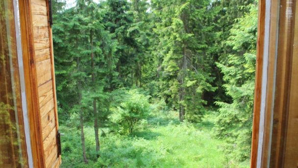 Chata Živa Oravská Polhora 22 Chata Živa Oravská Polhora 22
