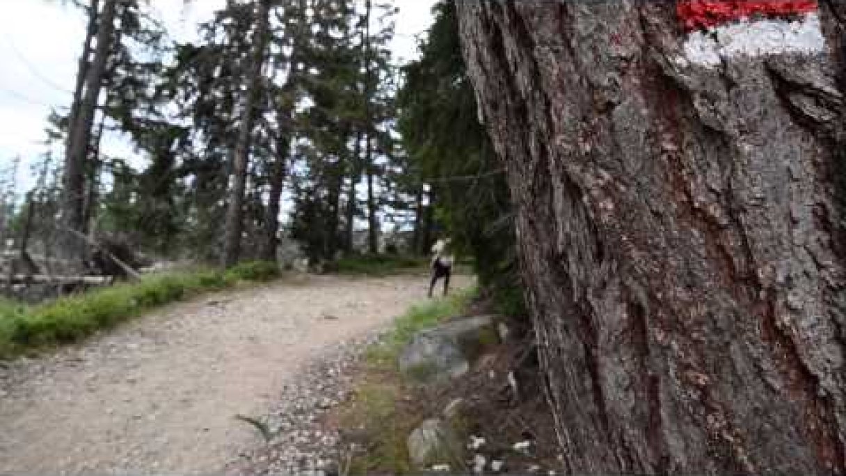 Výlet na Jamské pleso Autor: Nikol Grešová Zdroj: https://www.youtube.com/@NikolaGresova Výlet na Jamské pleso Autor: Nikol Grešová Zdroj: https://www.youtube.com/@NikolaGresova
