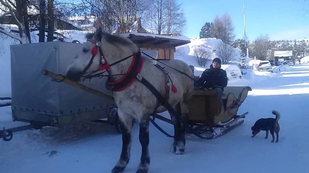 Chata Bachledka Bachledova dolina Ždiar 21