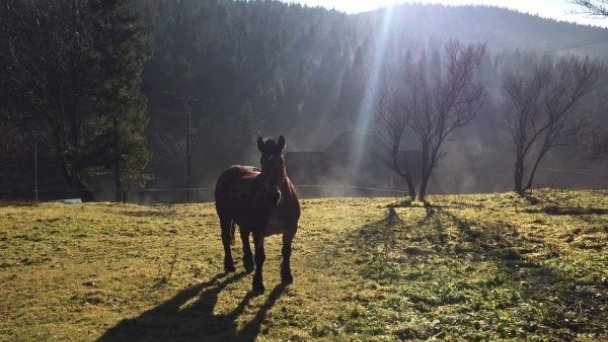 Chata Bachledka Bachledova dolina Ždiar 15