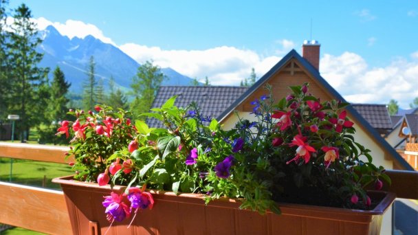 Apartmány Piknik Stará Lesná 34