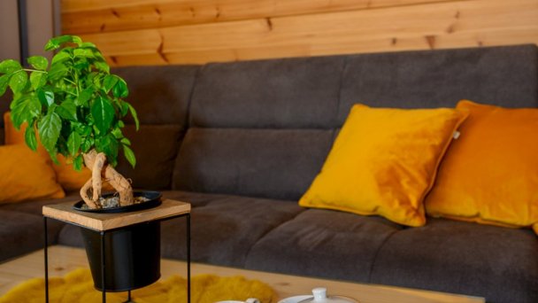 Vila Elis Veľká Lomnica 7