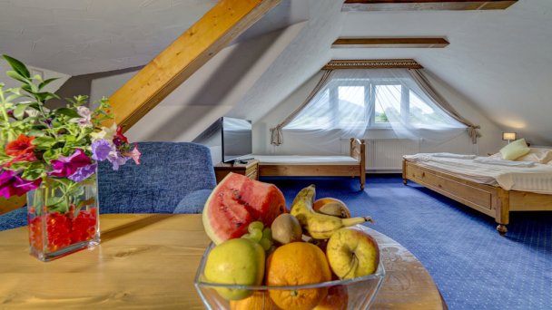 Wellness Kamzík Resort Ždiar 70