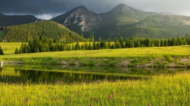 Wellness Kamzík Resort Ždiar 41