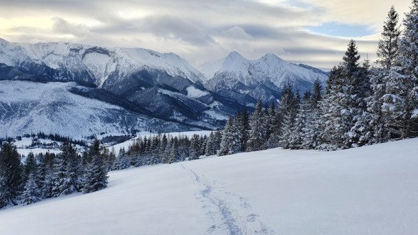 Villa Ždiar 681 Ždiar 22
