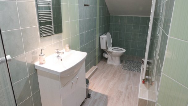 Vila Lesana Nová Lesná 8