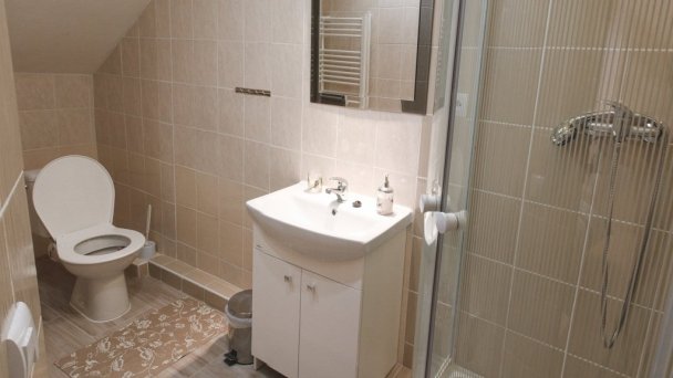 Vila Lesana Nová Lesná 10