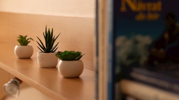 Privát pod Tatrami Stará Lesná 24