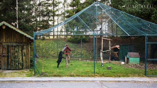 Apartmán č. 27 - Apartmánový dom Patris Tatranská Štrba 8