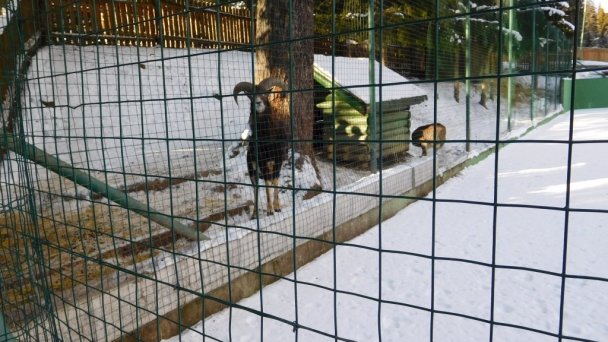 Apartmán č. 27 - Apartmánový dom Patris Tatranská Štrba 26