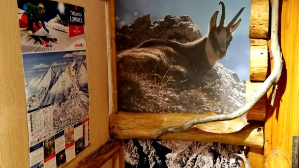 Chata Zuzanka Tatranská Štrba 7