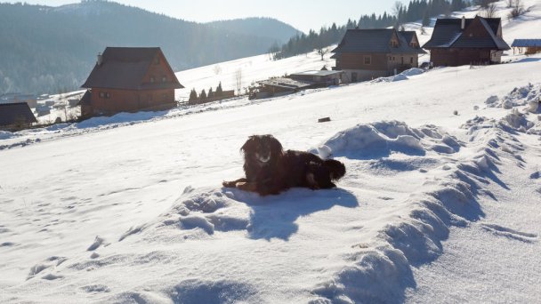 Privat Bachledova dolina Ždiar 16