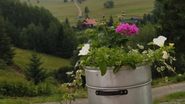 Drevenica Spiaci Goral Ždiar 18