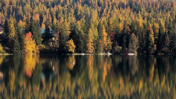 Vila Marína Štrbské Pleso 12