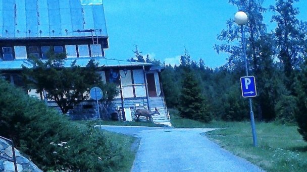 Apartmán Tatranské Zruby 10
