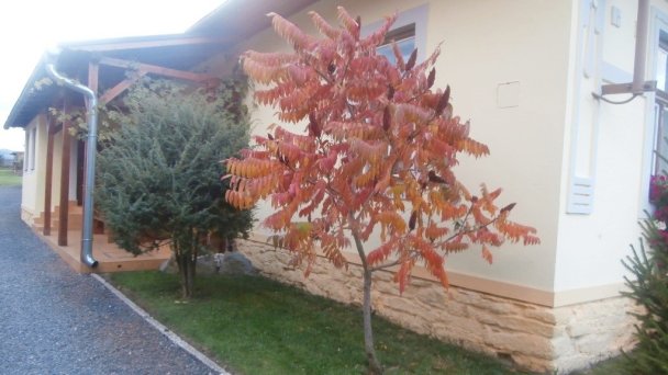 Domček a Privát Milan Hrabušice 31