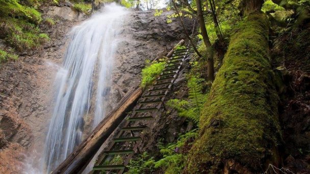 Chata Meredith Košiarny briežok 9