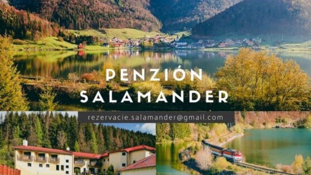 Penzión Salamander Mlynky 60