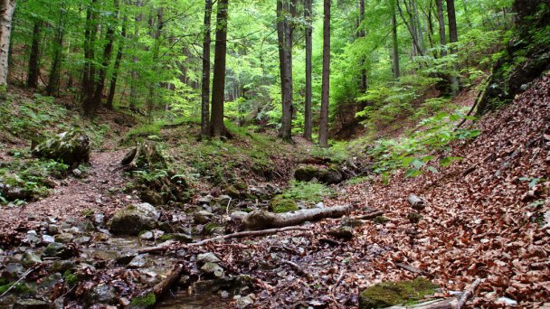 Dom Pútnika  Spišská Nová Ves 20