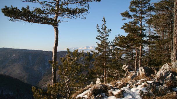 Dom Pútnika  Spišská Nová Ves 24