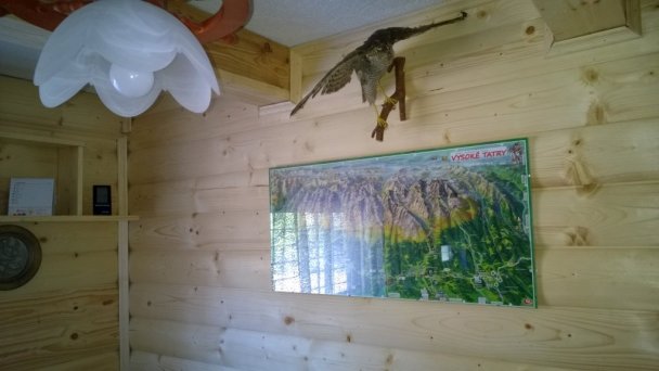 Cottage Tatry Tatranská Štrba 39