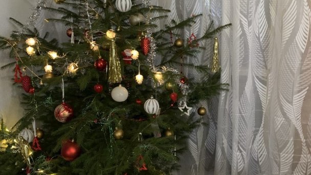 Chata Astrička Stará Lesná 19