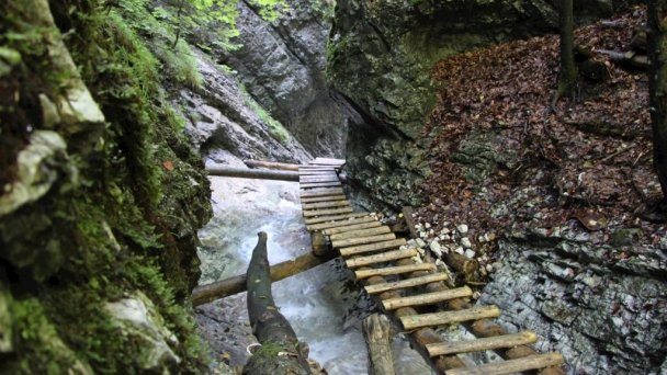 Chata Ostrica Smižany - Košiarny briežok 43