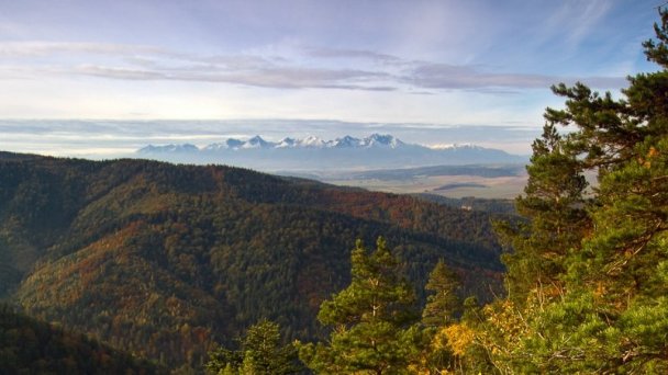 Chata Ostrica Smižany - Košiarny briežok 52