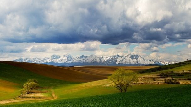 Chata Ostrica Smižany - Košiarny briežok 59