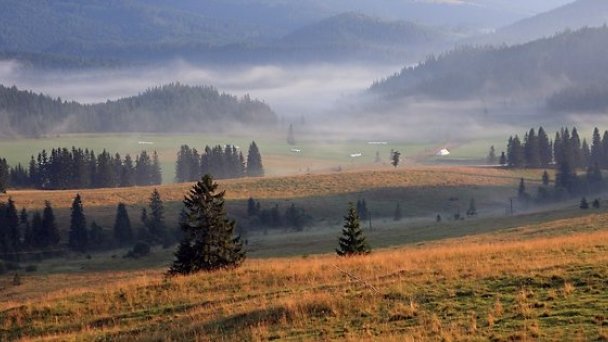 Chata Ostrica Smižany - Košiarny briežok 61