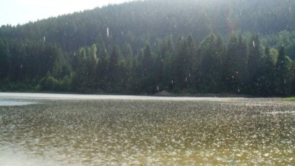 Chata Ostriežik Štefanov nad Oravou 44 Chata Ostriežik Štefanov nad Oravou 44