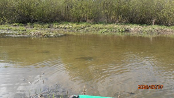 Chata Ostriežik Štefanov nad Oravou 36 Chata Ostriežik Štefanov nad Oravou 36
