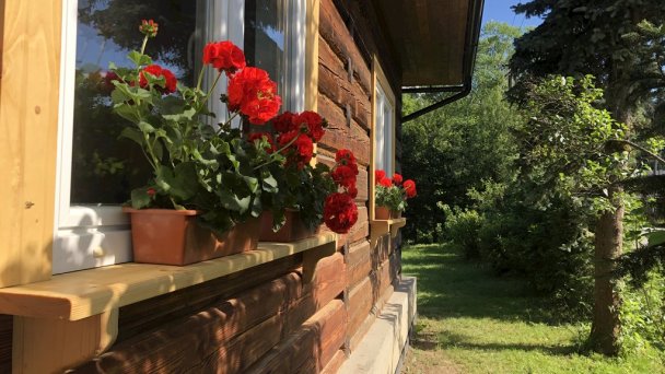 Drevenica Za dedinou Sihelné 43