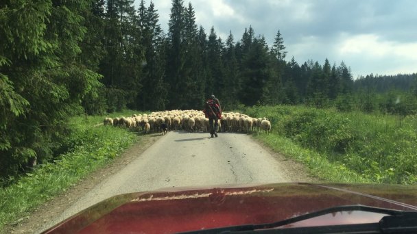 Drevenica Za dedinou Sihelné 47