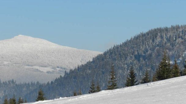 Drevenica Za dedinou Sihelné 49